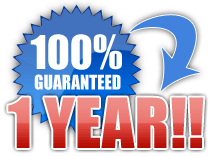 one year guarantee